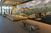 Fossilienexponate in der Quarry Exhibit Hall im Dinosaur National Monument. Jensen, Utah. Beachten Sie die Bänke in Form von Dinosaurierbeinknochen