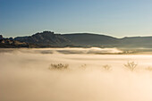 Frühmorgendlicher Nebel verdunkelt den Green River im Dinosaur National Monument mit dem Split Mountain im Hintergrund, nahe Jensen, Utah