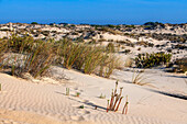 Dunes in Parque Nacional de Doñana National Park, Almonte, Huelva province, Region of Andalusia, Spain, Europe