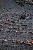 Volcan del Cuervo (Crow volcano) a crater explored by a loop trail in a barren, rock-strewn landscape