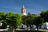 Pinhel Clock Tower from Sacadura Cabral square. Portugal.