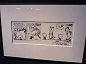 Calvin & Hobbes von Bill Waterson