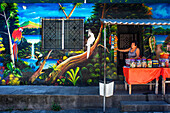 Straßenkunst-Graffiti an der Wand in San Bartolomé Perulapia in Cuscatlan, El Salvador Mittelamerika