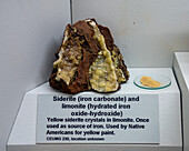 Siderite, iron carbonate, & limonite, hydrated iron oxide-hydroxide, in the USU Eastern Prehistoric Museum, Price, Utah.