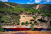 Blutrotes, mineralhaltiges Wasser des Flusses Rio Tinto im Bergbaugebiet Minas de Riotinto. Der sehr rote Rio Tinto (Fluss Tinto), Teil des Rio Tinto Minenparks (Minas de Riotinto), Provinz Huelva, Spanien