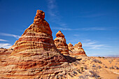 Eroded Navajo sandstone formations in South Coyote Buttes, Vermilion Cliffs National Monument, Arizona.