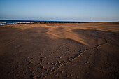 Wind blows sand on a beach in Lanzarote, Canary Islands, Spain