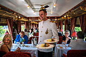 Ein Kellner serviert das Abendessen im Art-Deco-Restaurantwagen des Luxuszuges Belmond Venice Simplon Orient Express. Lachskraut und Kartoffeln