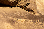 Petroglyphentafel der amerikanischen Ureinwohner an der East Four Mile Canyon Interpretive Site, Canyon Pintado National Historic District in Colorado. Prähispanische Felszeichnungen der amerikanischen Ureinwohner