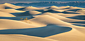 Mesquite Flat Sand Dunes in Death Valley National Park, California.