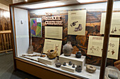 in the USU Eastern Prehistoric Museum in Price, Utah.