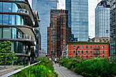 Walking in the new york high line new york urban park formed from an abandoned elevated rail line in Chelsea lower Manhattan New york city HIGHLINE