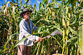 Worker of a corn field in Puerto Barillas in Jiquilisco Bay in Gulf of Fonseca Pacific Ocean El Salvador Central America.