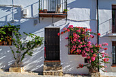 Stadtzentrum und weiße Häuser in Grazalema, Cadiz Sierra de Grazalema Andalusien Spanien