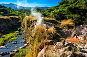 Los Ausoles de Ahuachapán, El Salvador, Mittelamerika