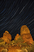 Star trails over sandstone towers in the Needles District of Canyonlands National Park in Utah.