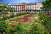 Plaza Cervantes square in Alcala de Henares Madrid province Spain