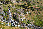 Waterfall ont the way to the Summit of the Puigmal mountain, Catalan, Pyrenees, Spain