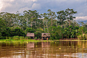 Holzhäuser in einem Indianerdorf in der Nähe von Iquitos, Loreto, Peru, Südamerika