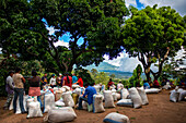 Arbeiter von El Carmen State Organic Coffee Brand Plantagen und Vertrieb in Concepción de Ataco El Salvador Mittelamerika. Ruta De Las Flores, Departement Sonsonate