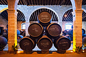 Stacked oak barrels with the famous Tio Pepe sherry, winery winery Bodega Gonzalez Byass, Jerez de la Frontera, Cadiz province Andalusia Spain.