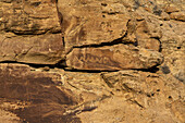 A pre-Hispanic Native American petroglyph rock art panel in Nine Mile Canyon in Utah.