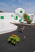 Casa Museo del Campesino (House museum of the peasant farmer) designed by César Manrique in Lanzarote, Canary Islands Spain