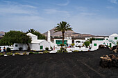 Casa Museo del Campesino (Haus des Bauernmuseums) von César Manrique auf Lanzarote, Kanarische Inseln, Spanien