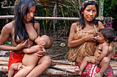 Frauen stillen ein Baby der Yagua-Indianer, die in der Nähe der amazonischen Stadt Iquitos, Peru, ein traditionelles Leben führen