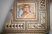 Old roman mosaic in the Museo de la ciudad de Carmona museum MCIC. Old town Carmona Seville Andalusia South of Spain.