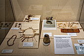 Native American artifacts on display in the USU Eastern Prehistoric Museum in Price, Utah.