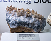 Celestite, strontium sulfate, in the mineral collection in the USU Eastern Prehistoric Museum, Price, Utah.