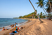 Las Terrenas Strand, Samana, Dominikanische Republik, Karibik, Amerika. Tropischer Karibikstrand mit Kokosnusspalmen