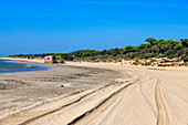 Spanish Civil War Concrete bunker, Sanlucar de Barrameda Parque Nacional de Doñana National Park, Almonte, Huelva province, Region of Andalusia, Spain, Europe