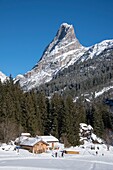 France, Savoie, Massif de la Vanoise, Pralognan La Vanoise, National Park, on the tracks of walk and cross country skiing the hamlet of Cholliere