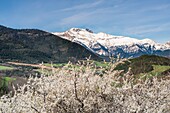 France, Vercors Regional Natural Park, view of Ecrins park from road D1075