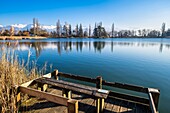 France, Savoie, Les Marches, Lake Saint André in the heart of the Combe de Savoie vineyards, Belledonne range covered with snow in the background