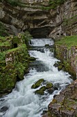 France, Doubs, Loue valley, the spring of the river springs at the foot of a cliff
