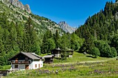 Frankreich, Haute Savoie, Mont Blanc Massiv, Chamonix Mont Blanc, Weiler Tre le Champ an der Straße zum Montets-Pass