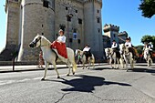 Frankreich, Bouches du Rhone, Tarascon, denkmalgeschütztes mittelalterliches Schloss von König Rene (XV.), Fest von La Tarasque (letztes Wochenende im Juni)