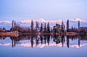 France, Savoie, Les Marches, Lake Saint André in the heart of the Combe de Savoie vineyards, Belledonne range covered with snow in the background