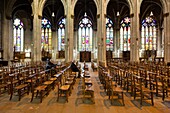 France, Meurthe et Moselle, Nancy, Neo Gothic Saint Epvre of Nancy basilica built during the 19th century of stones from Euville, the nave