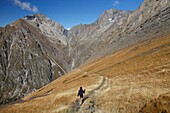 France, Isere, Valjouffrey, Ecrins National Park, Haut Beranger valley, Female hiker walking down from Cote Belle pass