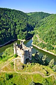 Frankreich, Cantal, Alleuze, Schloss von Alleuze, See der Zurückhaltung von Grandval (Luftaufnahme)