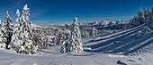 Frankreich, Hochsavoyen, Bauges-Massiv, oberhalb von Annecy Grenze zu Savoyen, das Semnoz-Plateau außergewöhnlicher Aussichtspunkt auf die Nordalpen, Panoramablick auf den schneebedeckten Wald und das Bornes-Massiv und den Monte White