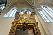 Frankreich, Meurthe et Moselle, Nancy, Cordeliers Kirche auch Saint Francois des Cordeliers Kirche ist Teil des Musee Lorrain (Lothringisches Museum), Rene der Zweite Herzog von Lothringen Grabmal