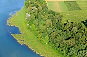 France, Savoy, La Balme, The Rhone (aerial view)