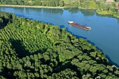 Frankreich, Isere, Chonas L'Amballan, Sensibles Naturgebiet von Gerbay, Schifffahrt auf der Rhone (Luftaufnahme)