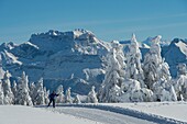 Frankreich, Haute Savoie, massive Bauges, oberhalb von Annecy Grenze mit der Savoie, das Semnoz Plateau außergewöhnlichen Aussichtspunkt auf die nördlichen Alpen, Langlaufloipen und Massiv Bornes, Tournette Berg