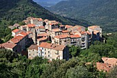 France, Corse du Sud, Alta Rocca, the village of Sainte Lucie de Tallano